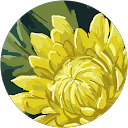 Dthegardener profile picture